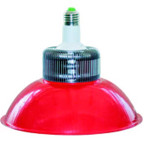 LED Fresh Lamp B01