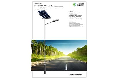 30W Solar Street Lamp (Grey)